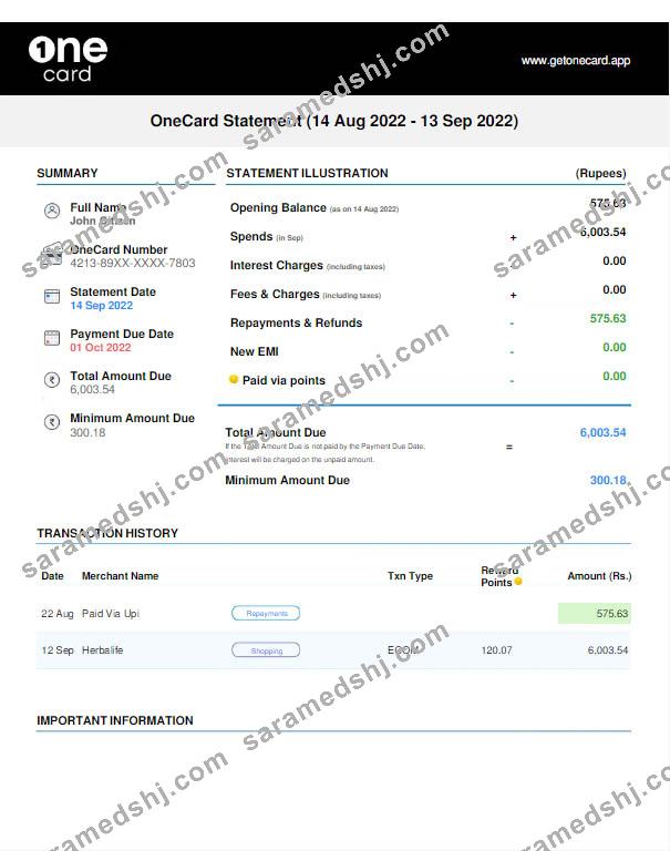 USA 1ONE CARD statement Word and PDF template